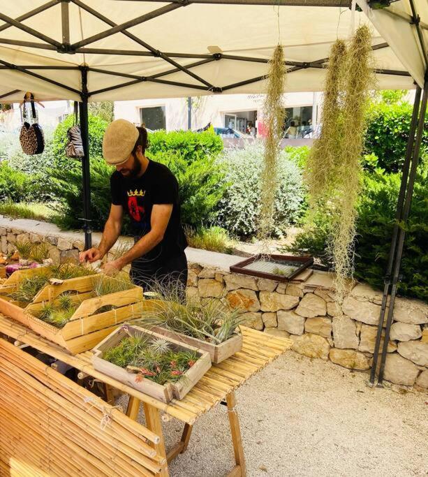 Apartamento Mediterraneo Entre Vinedos Jesus Pobre Kültér fotó