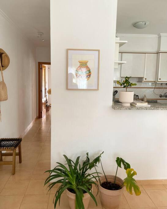 Apartamento Mediterraneo Entre Vinedos Jesus Pobre Kültér fotó
