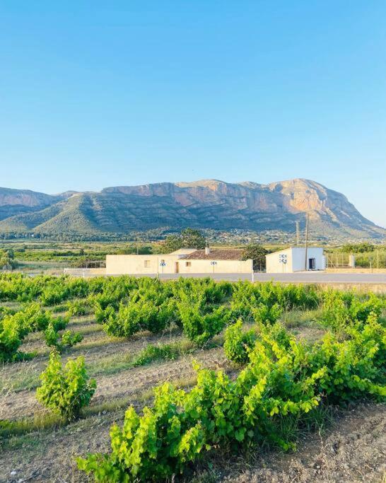 Apartamento Mediterraneo Entre Vinedos Jesus Pobre Kültér fotó